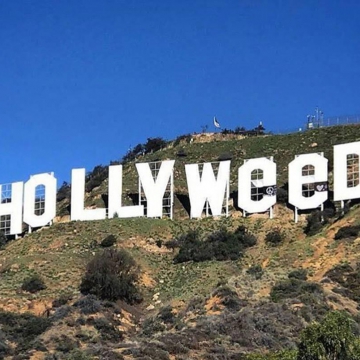 Hollyweed2.jpg